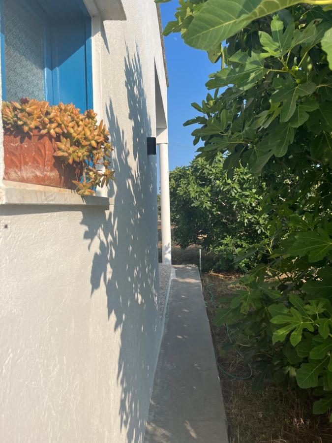 Villa Maria Torre San Giovanni Ugento Eksteriør bilde
